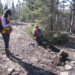 HighGold announces C$9.3m financing with Sprott