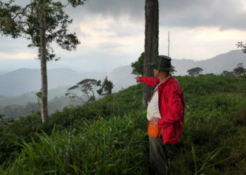 Aurania finds evidence of highly sought-after lost gold city in Ecuador