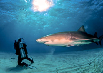 Nautilus Minerals officially sinks, shares still trading