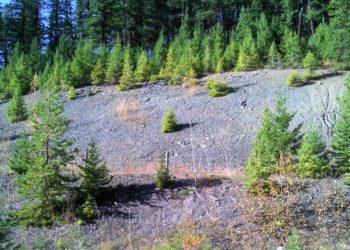 Inomin expands Beaver-Lynx nickel project