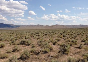 Canadian miners sign deal on Old Gold Bar project in Nevada