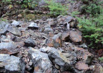 Prosper Gold reports results from Matachewan