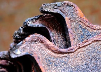 Cobre sube por perspectivas sobre “fase uno” de acuerdo comercial entre EEUU-China