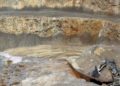 Bolivia: Gregores espera la respuesta de Triton y de Cerro Cazador al pedido de subsidios de tarifas