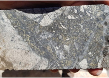 Radius Gold’s Amalia project returns long intercept