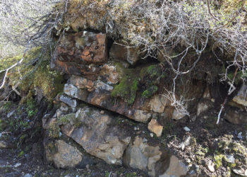 PhD student wins competition for environmental work on Commerce Resources’ Ashram deposit