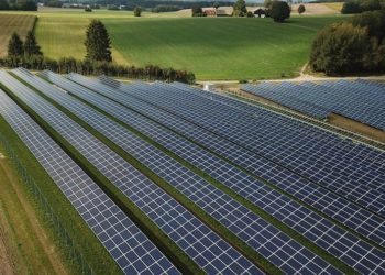 Australian mining tycoon Andrew Forrest invests in giant solar farm