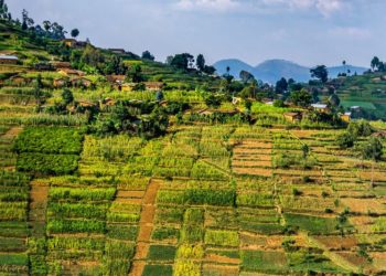Tecnología: Foreign investment or grassroots growth – the future of mining in Rwanda