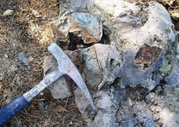 Tecnología: Alamos Gold halts construction activities at Kirazli gold project