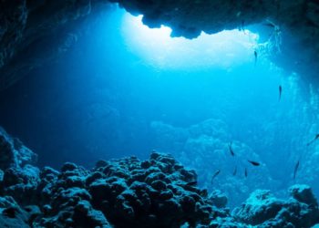 Tecnología: Deepsea mining: the environmental debate