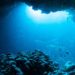 Tecnología: Deepsea mining: the environmental debate