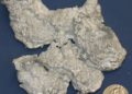 Tecnología: PT Borneo selects Black & Veatch to develop alumina refinery project