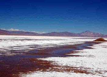 Chilena SQM definirá antes de fin de año futuro propiedad en salar Maricunga: ministro