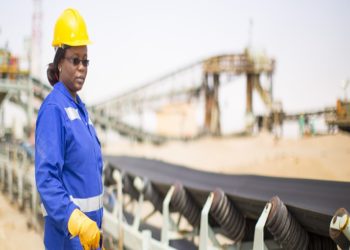 Tecnología: Namdeb sells Elizabeth Bay mine in Namibia to Lewcor