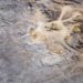 Tecnología: Barrian Mining signs LoI to buy Troy Canyon project in US