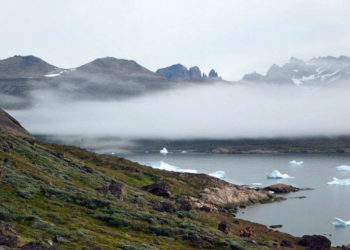 Tecnología: Why does Trump want to buy Greenland? A mineral perspective