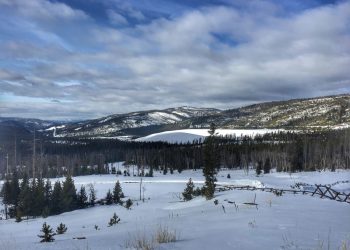 Revival Gold announces ‘substantial’ resource increase at Beartrack-Arnett