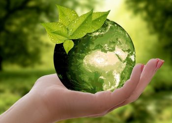 Green, social and sustainability bonds to reach $400 billion in 2020