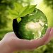 Green, social and sustainability bonds to reach $400 billion in 2020