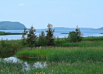 Transition expands its exposure to palladium, other PGM in Ontario