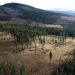 Westhaven cuts more high grades at Shovelnose