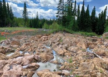 Monarch reports $57m in assets for second quarter