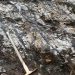 Mexican Gold owns world’s best drill intersection of 2020