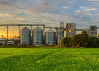 Tecnología: Process instrumentation solutions for accurate level measurement in silos