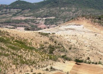 Fresnillo ejerce la opción de comprar una propiedad en Naranjillo