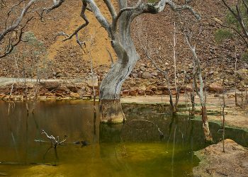 Australia compromete A $ 29.5 millones para investigación sobre cierres de minas