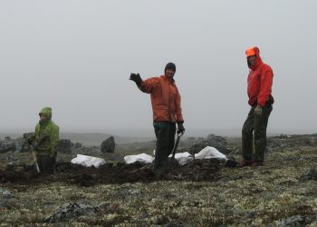 Dunnedin se convertirá en Kodiak Copper