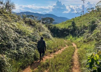 En medio de los temores de Covid-19, Aurania retira a los trabajadores del proyecto aurífero de Ecuador