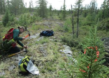 LaSalle inicia exploración en Ontario