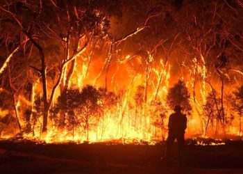 incendio en australia podría llegar a mina de carbon pringvale