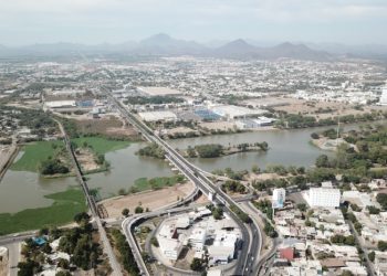vizsla en panuco cualiacan mexico