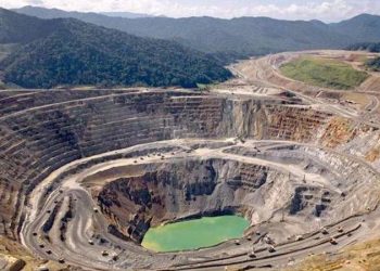 argentina sector minero