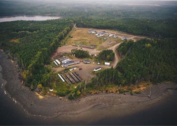 Mina valentine de marathon gold