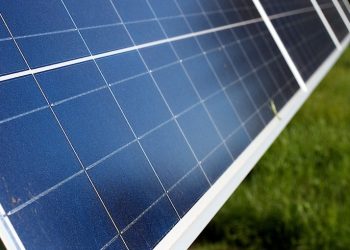 Los científicos desarrollan batería orgánica