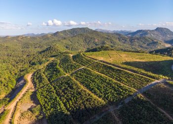 B2Gold registra producción récord, ingresos en el primer trimestre