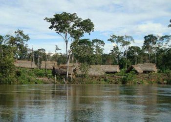 Los mineros ilegales pueden propagar covid-19 entre las comunidades indígenas en Venezuela, Brasil & # 8211; ONGs