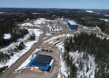 Harte informa producción récord trimestral