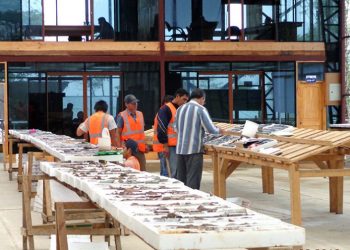 Luminex alcanza altas calificaciones con el agujero de salida del campamento