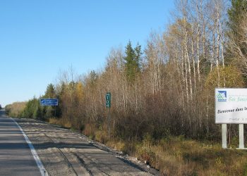 Golden giant de First Mexican gold