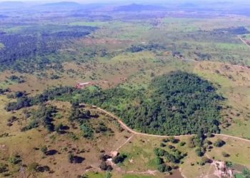 Pesar branca de jangada minerals