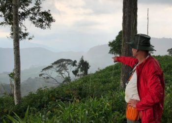 Ciudades Perdidas de Aurania Resources