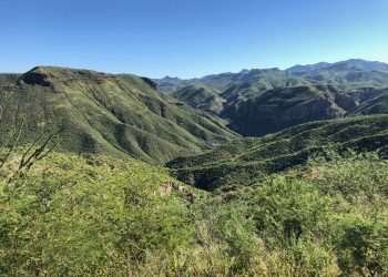 Las chispas de silvercrest