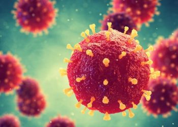 Covid-19 challenge de vale