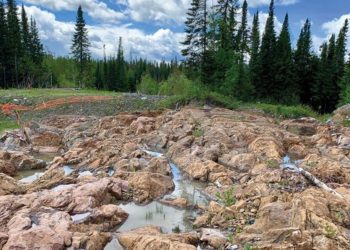 Proyecto fayolle de monarch gold