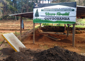 Proyecto de Summa Gold