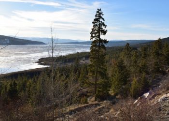 Tecnología: Orefinders compra el 31% del propietario de la mina Omega Mistango River Resources